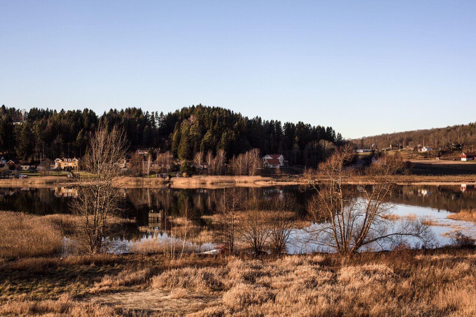 Canon EF 50mm F1.8 II sample photo. Nature, outdoor, no person photography