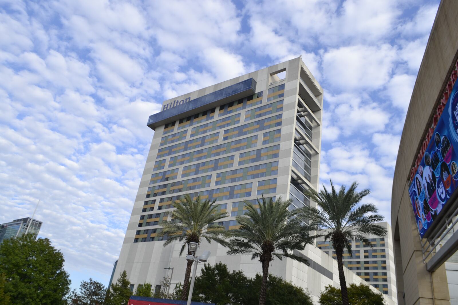 Nikon D3100 sample photo. Hilton hotel, palm trees photography