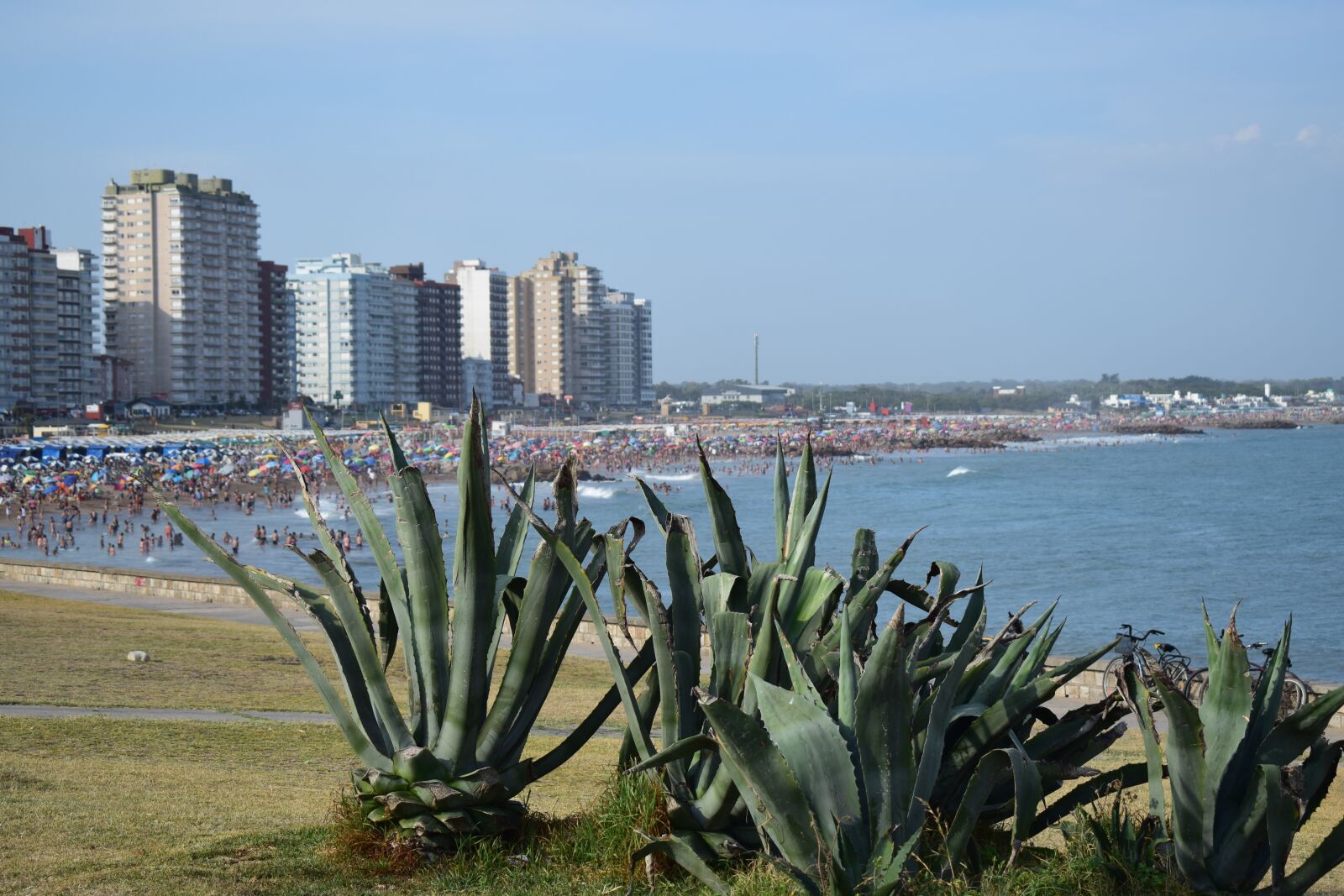 Nikon D5300 sample photo. Miramar, bs as, argentina photography