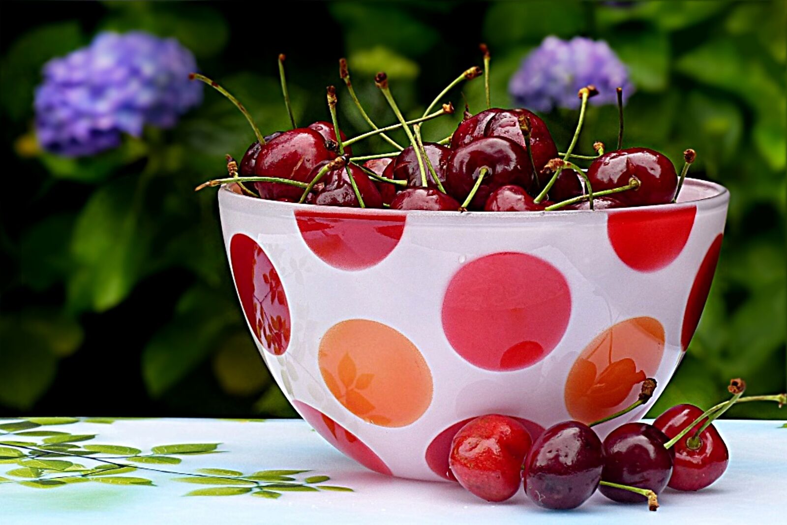 Panasonic Lumix DMC-FZ200 sample photo. Cherries, sweet cherries, red photography