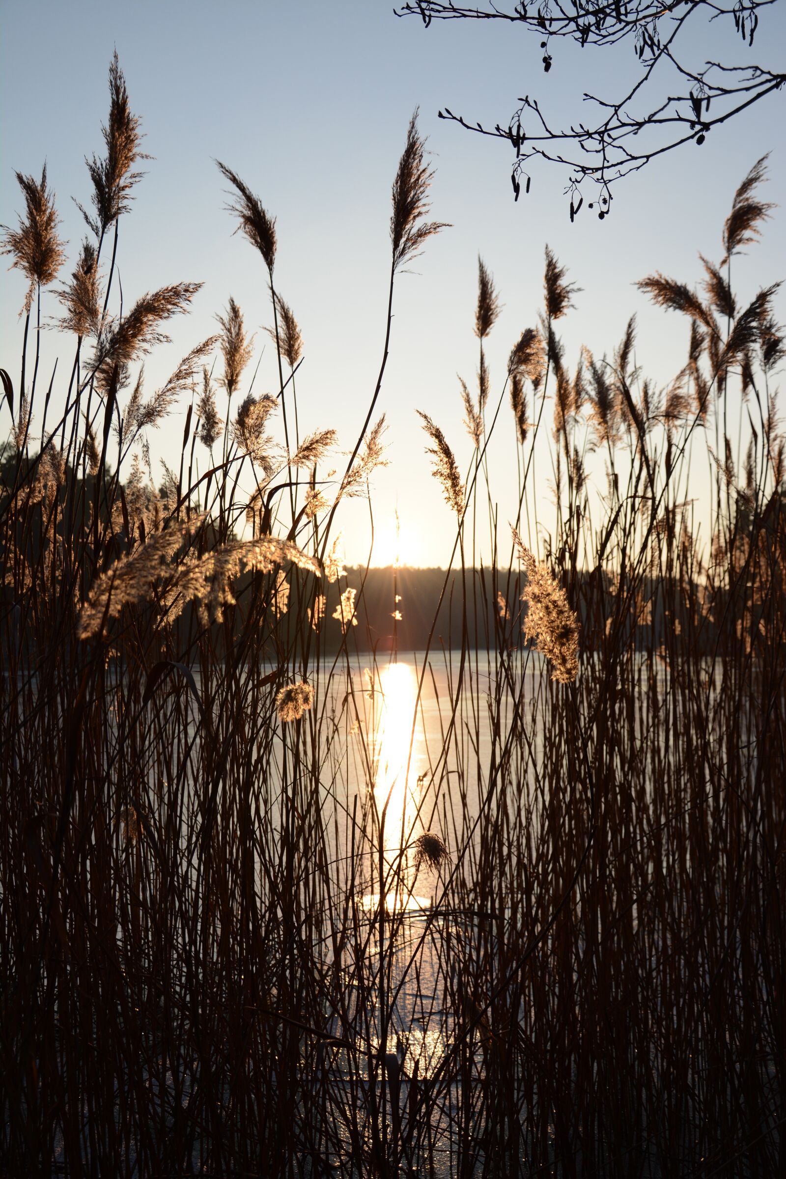 Nikon D7100 sample photo. Ice, the sun, mood photography