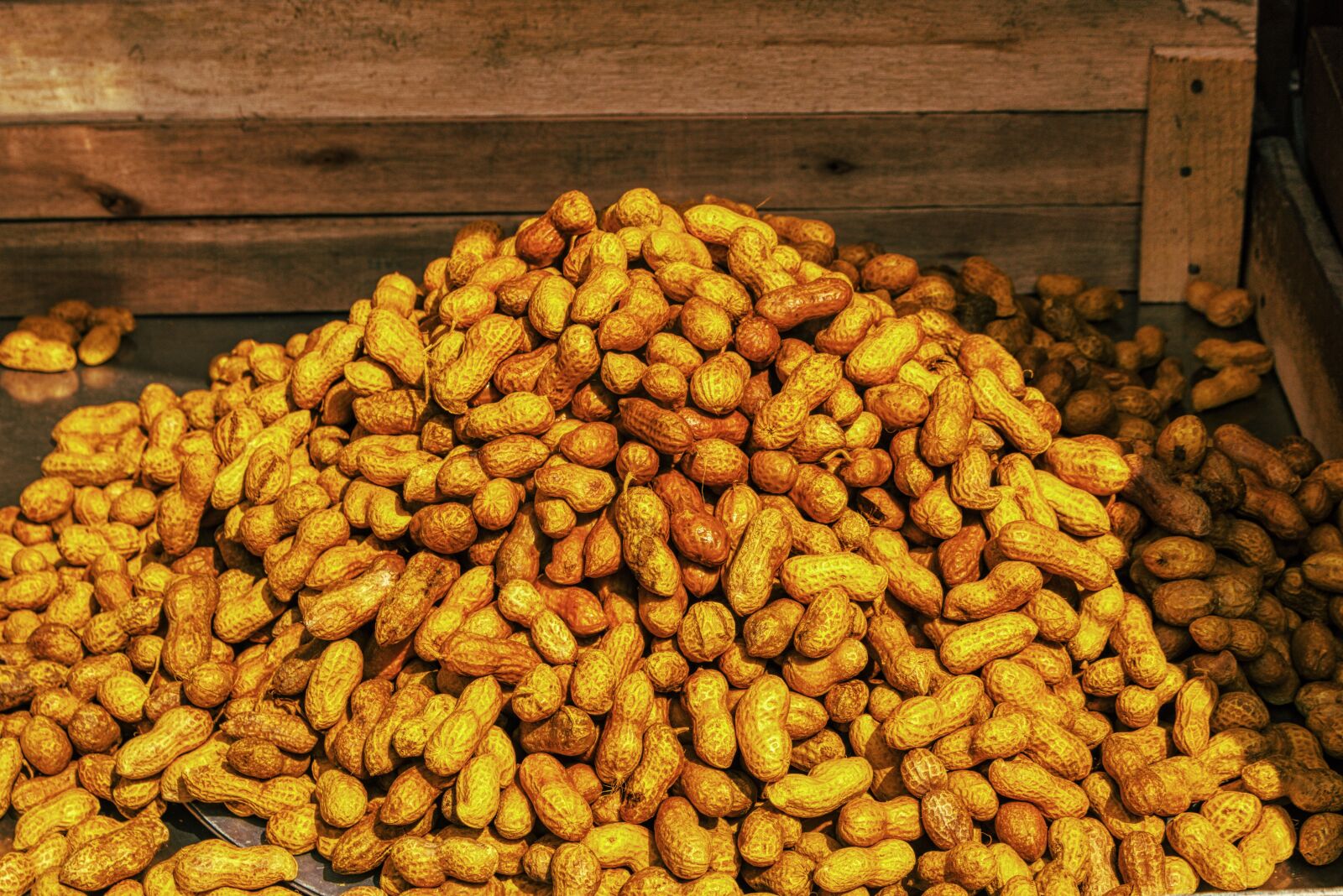 Canon EOS 750D (EOS Rebel T6i / EOS Kiss X8i) sample photo. Peanut, many, brown photography