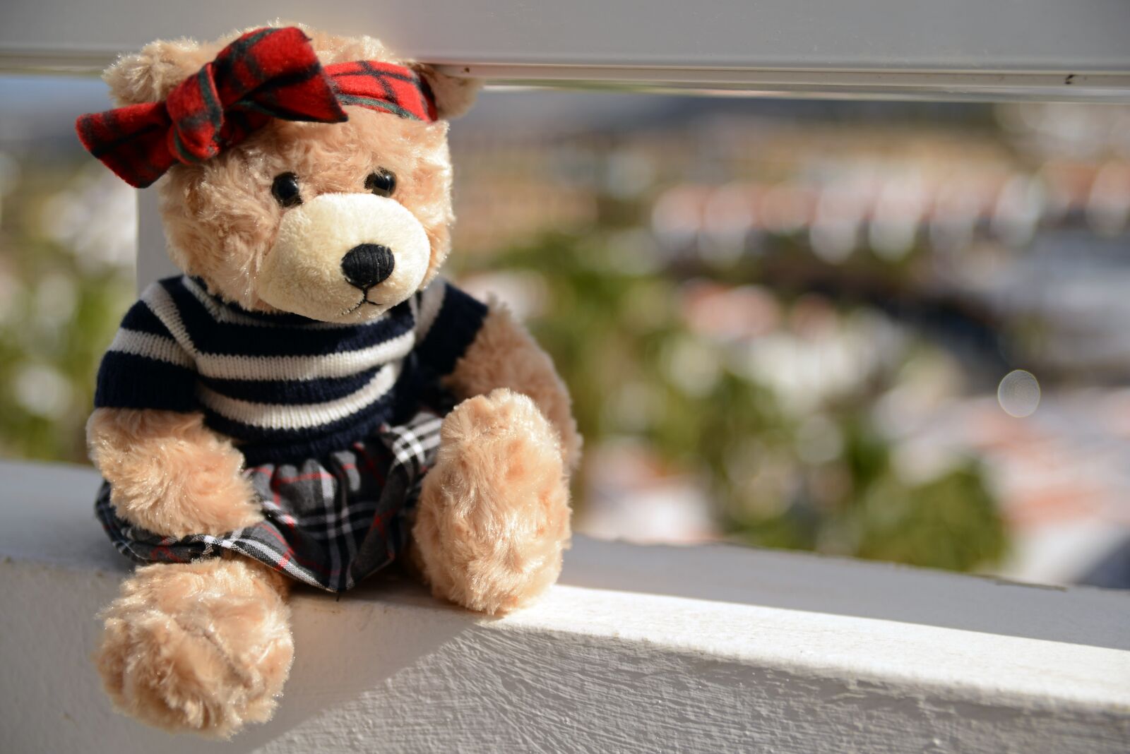 Nikon D800 sample photo. Teddy bear, plush, toy photography