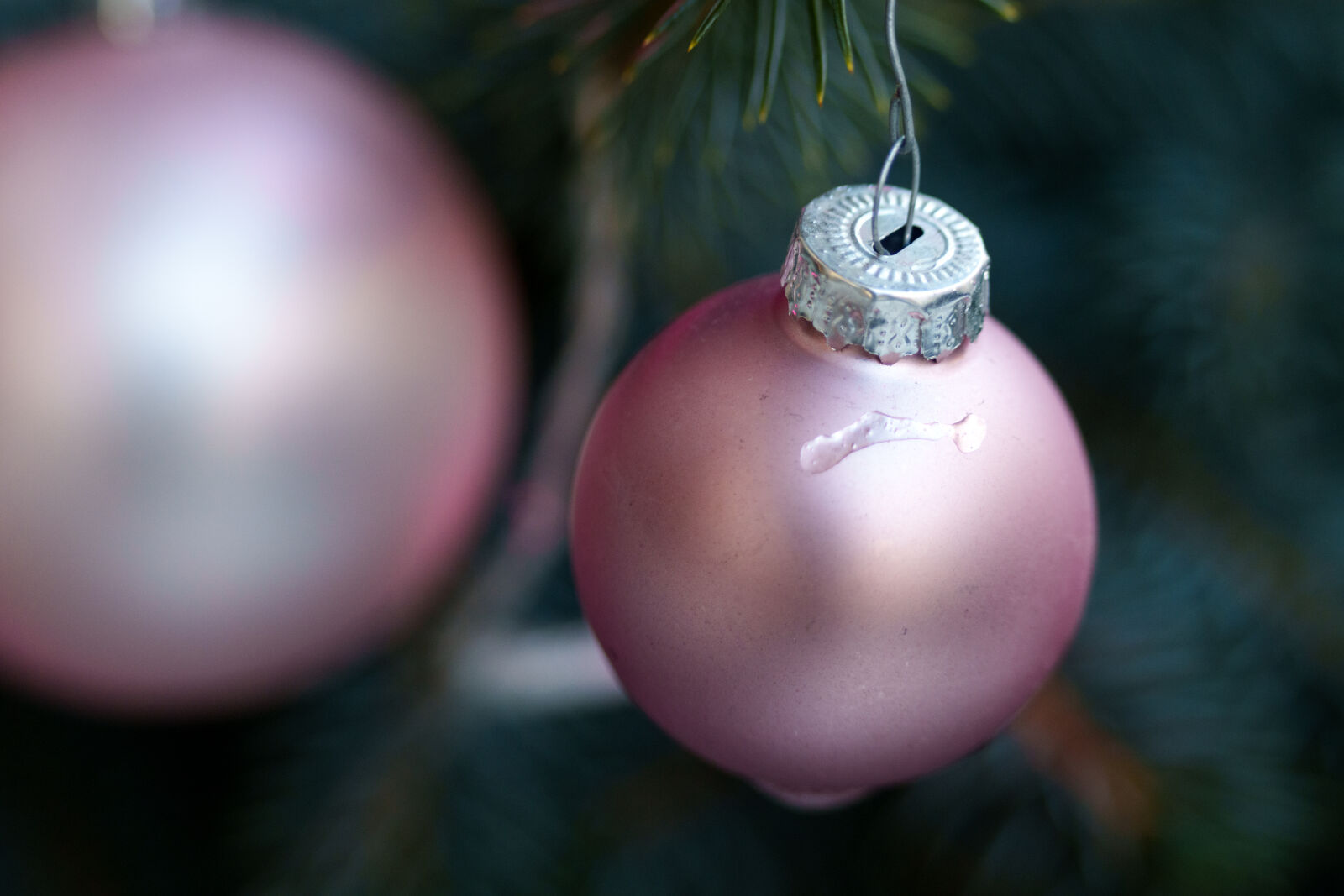 Sigma 60-600mm F4.5-6.3 DG DN OS | Sports sample photo. Decoration of the last photography