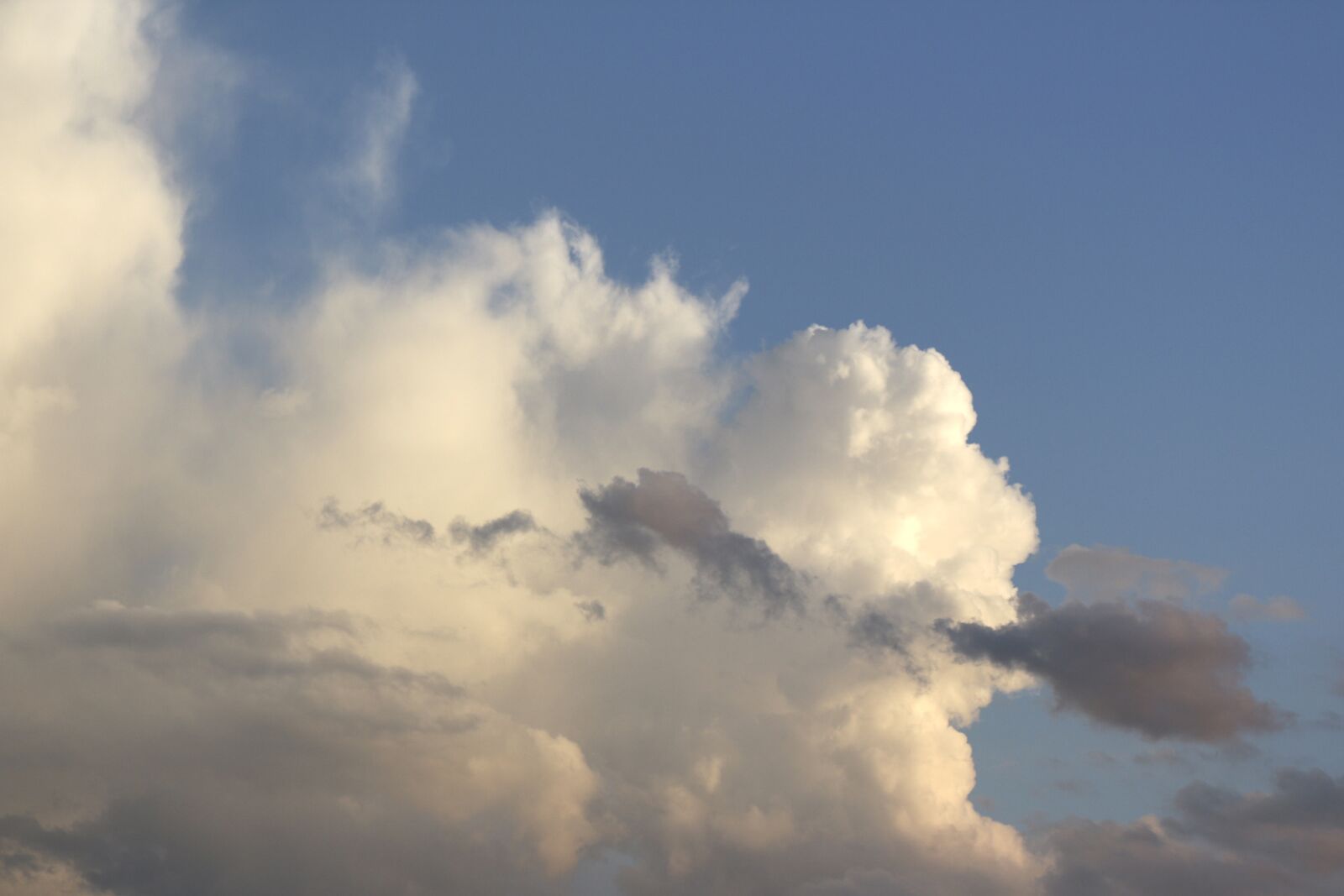 Canon EOS 700D (EOS Rebel T5i / EOS Kiss X7i) sample photo. Clouds, white, grey photography