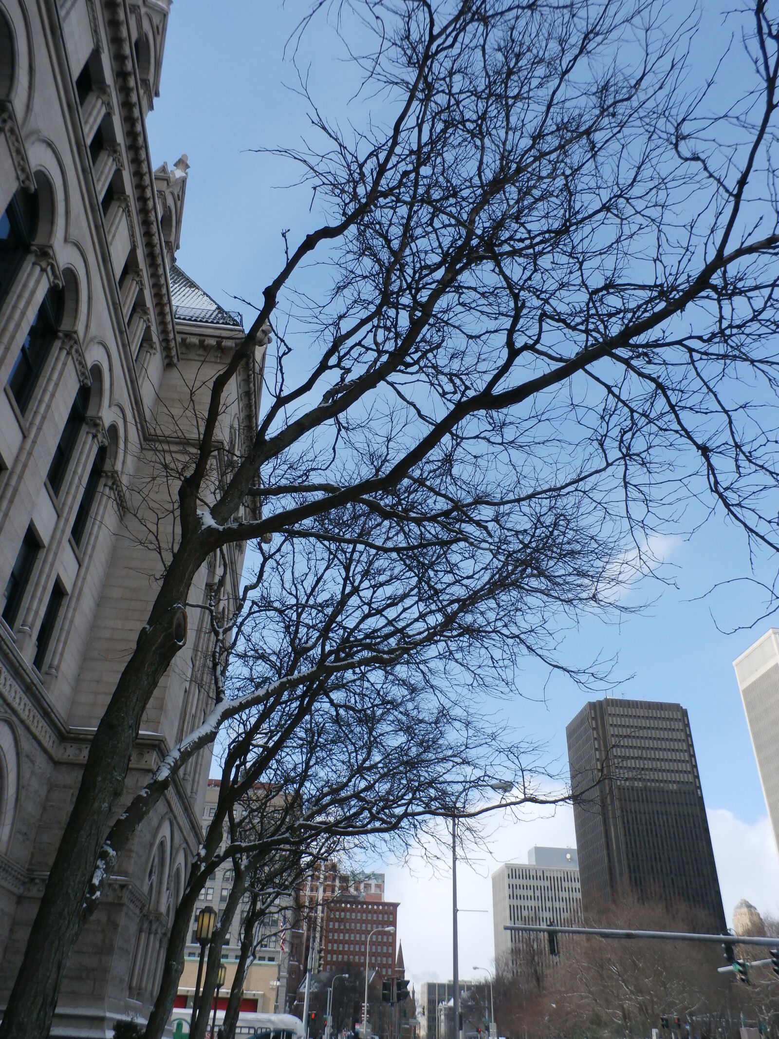 Olympus SZ-15,DZ-100 sample photo. Erie, community, college photography