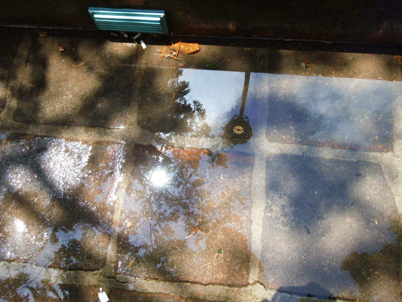 Fujifilm FinePix Z110 sample photo
