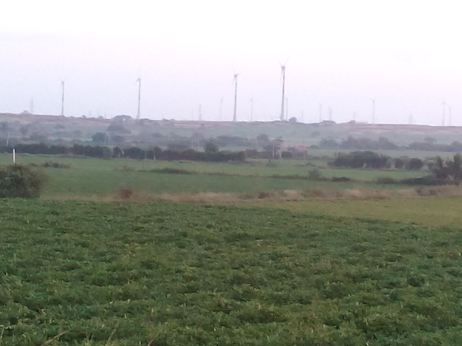 Micromax Canvas Spark sample photo. Nature, windmills photography