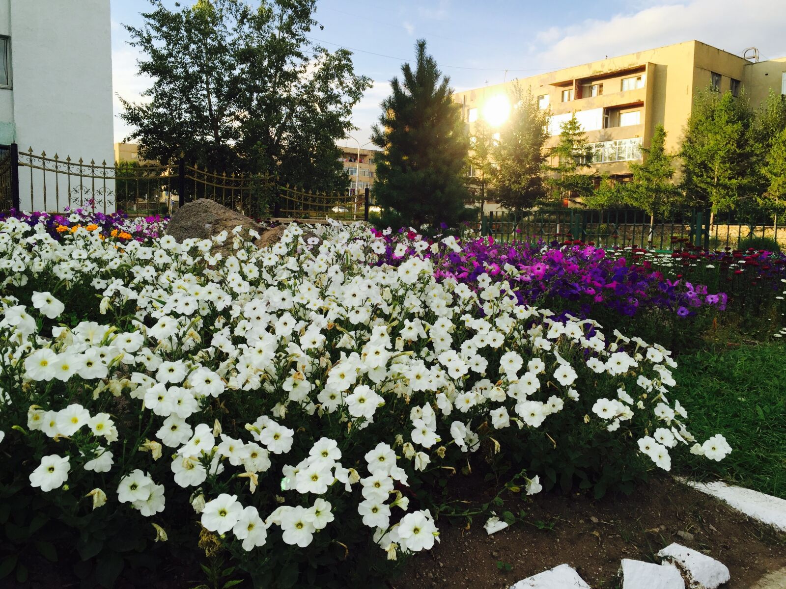 Apple iPhone 6 sample photo. Apartment, building, summer, summer photography