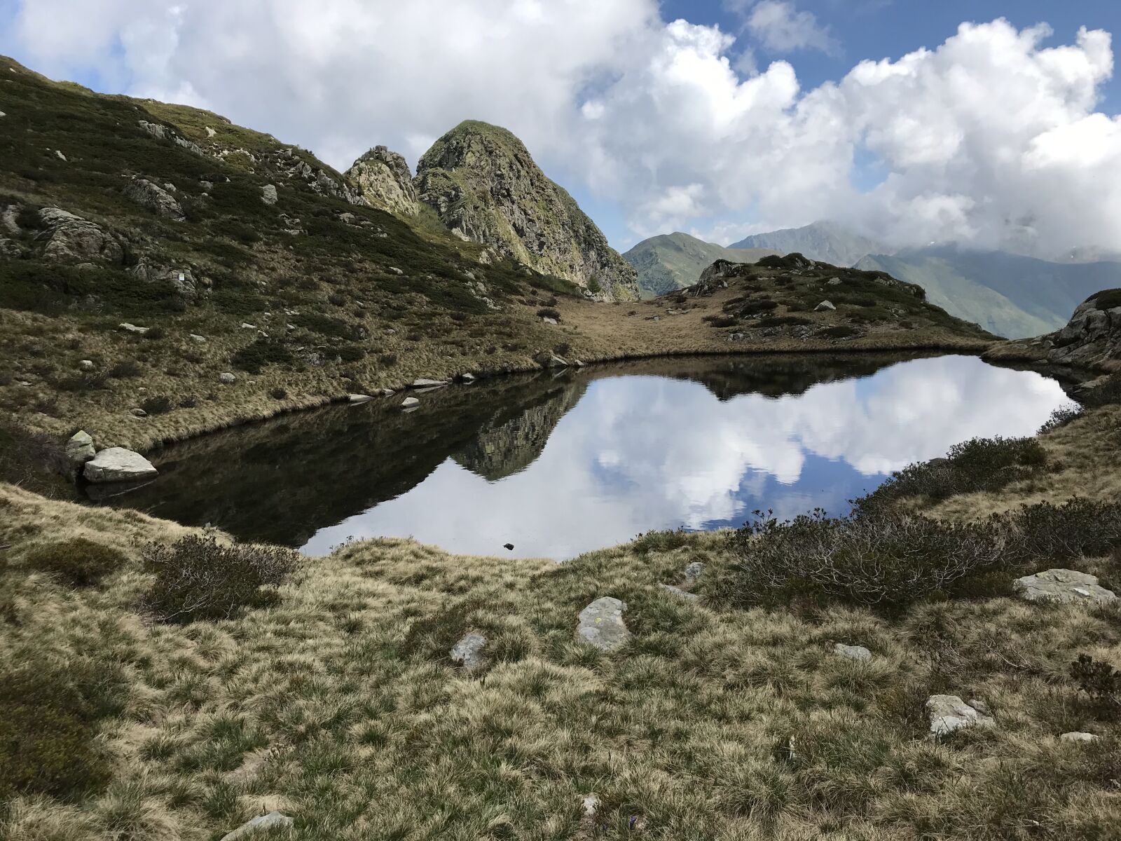 iPhone 7 back camera 3.99mm f/1.8 sample photo. The pond below the photography
