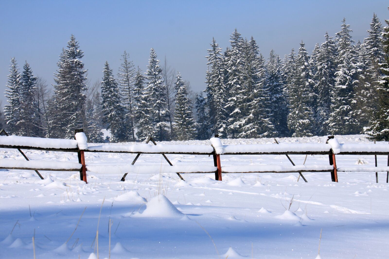 Canon EOS 50D sample photo. Snow, winter, cold photography