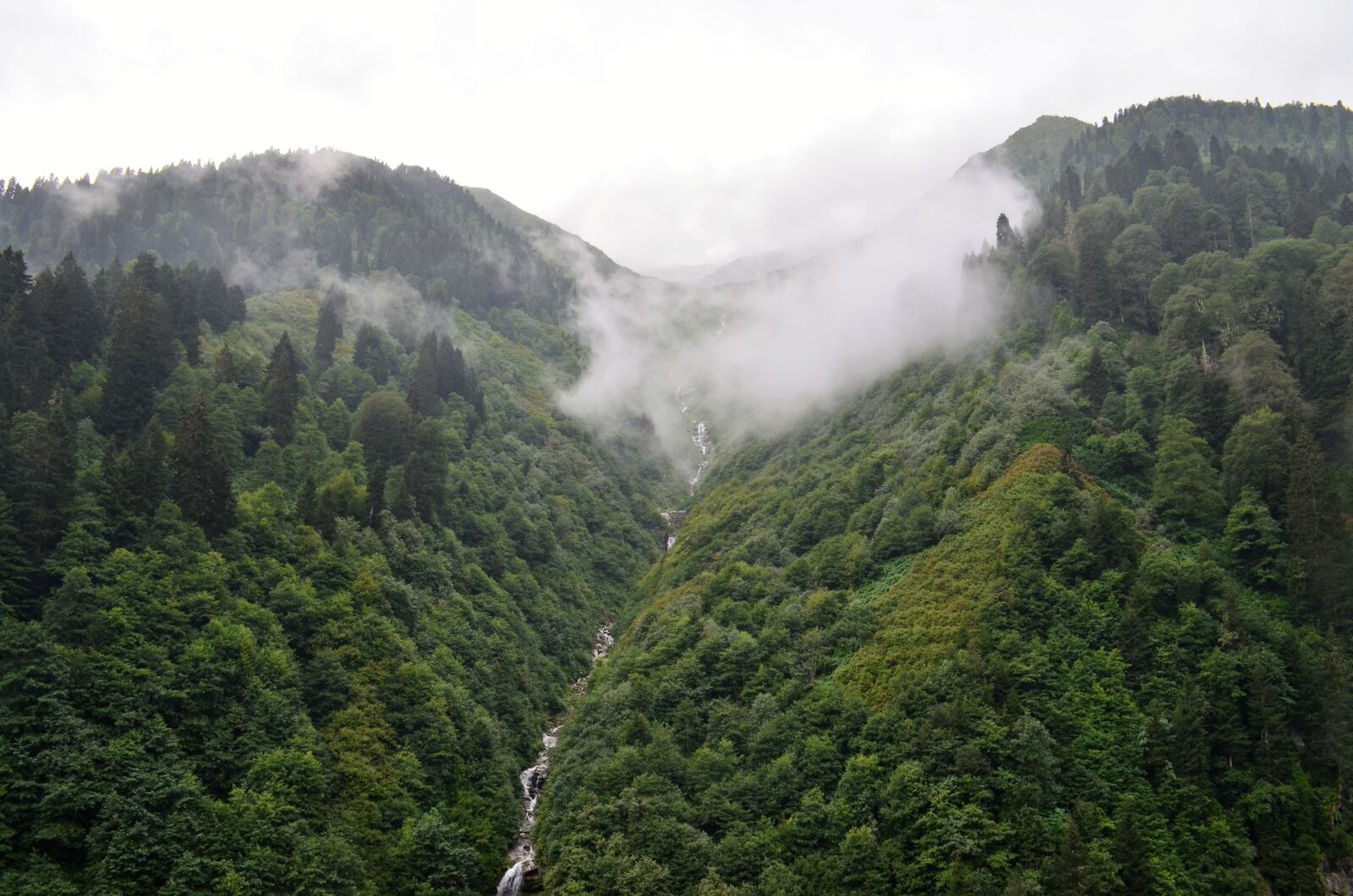 Nikon D5100 sample photo. Eastern black sea, rize photography
