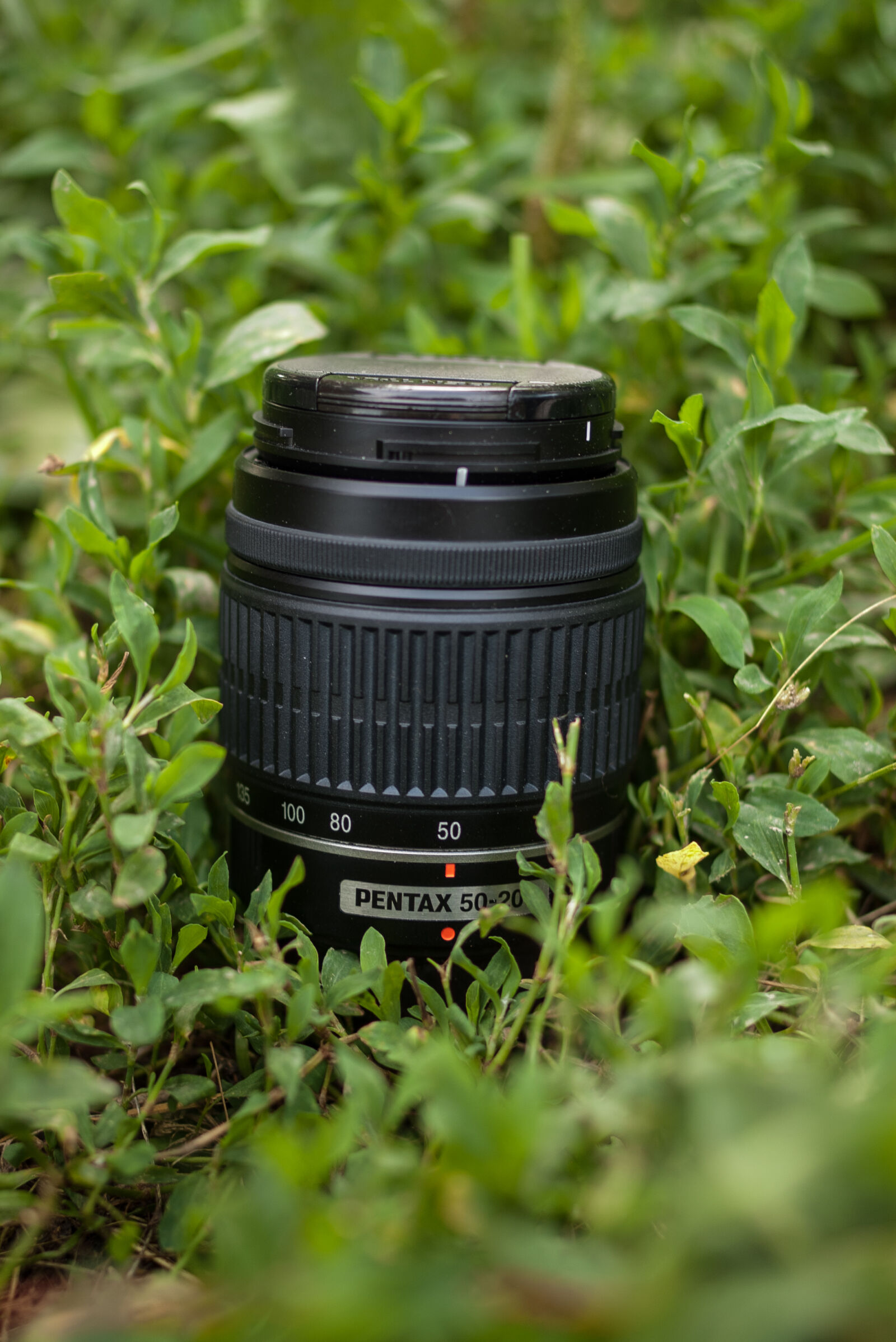 Pentax *ist DS sample photo