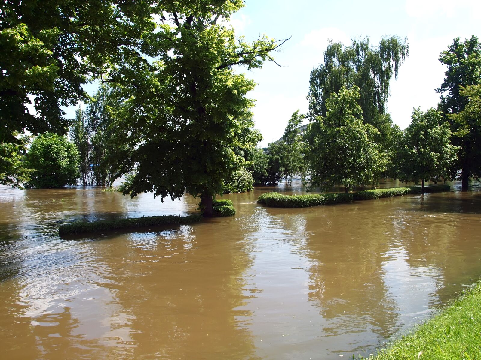 Olympus E-30 sample photo. Flood, saale, 2013 photography