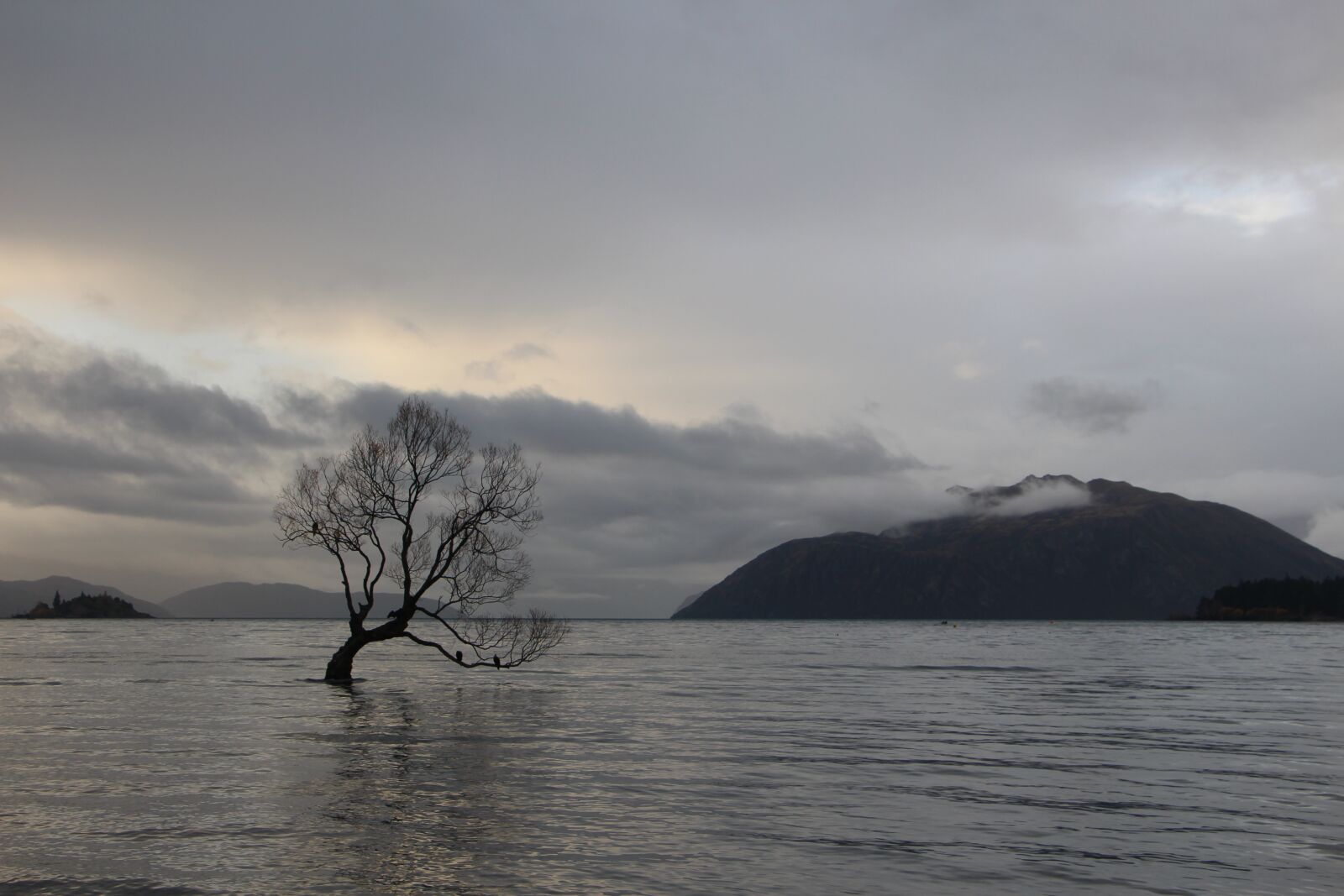 Canon EOS 700D (EOS Rebel T5i / EOS Kiss X7i) sample photo. Wanaka, tree, lake photography