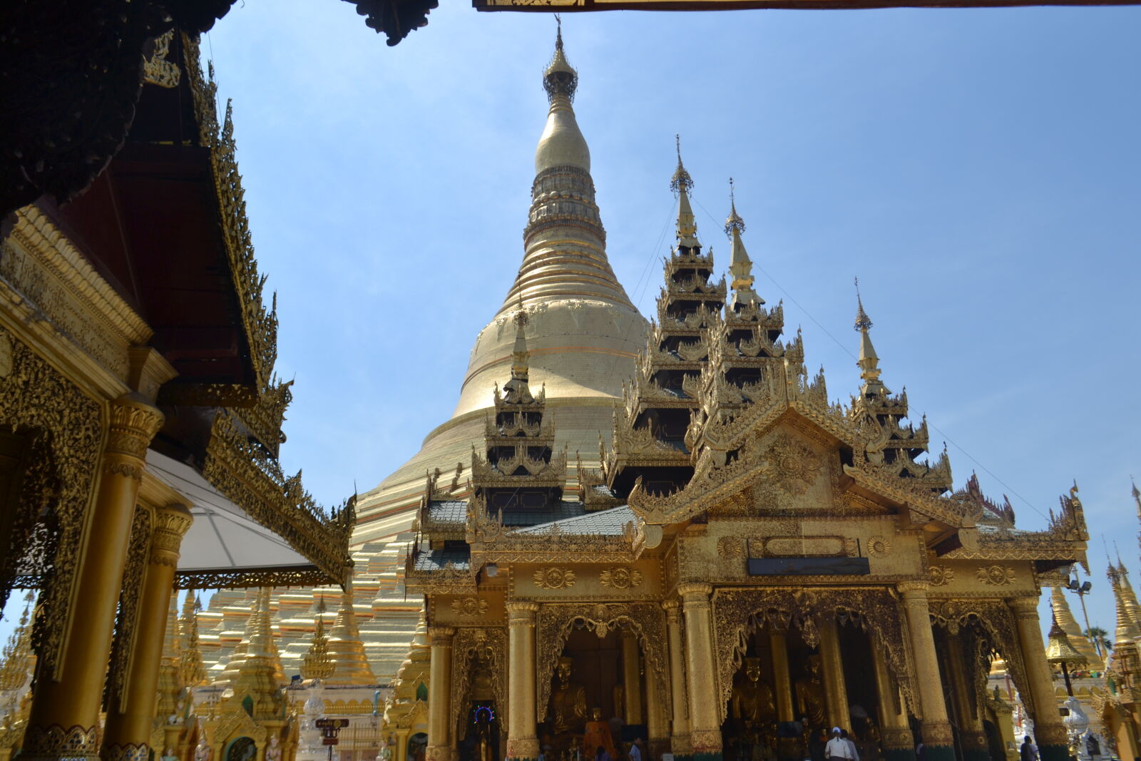 Nikon D3100 sample photo
