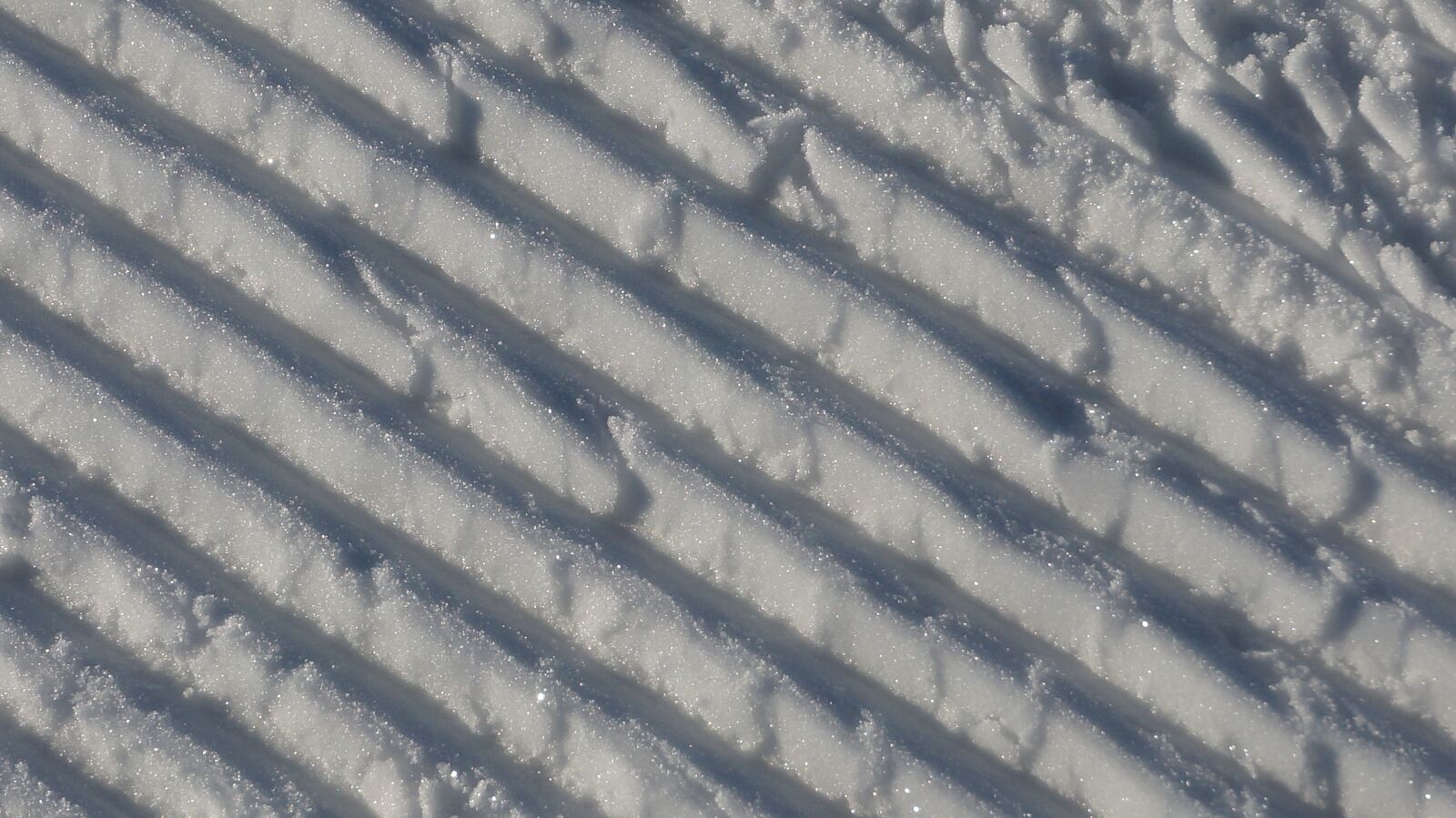Sony Alpha NEX-6 sample photo. Snow, winter, cold photography