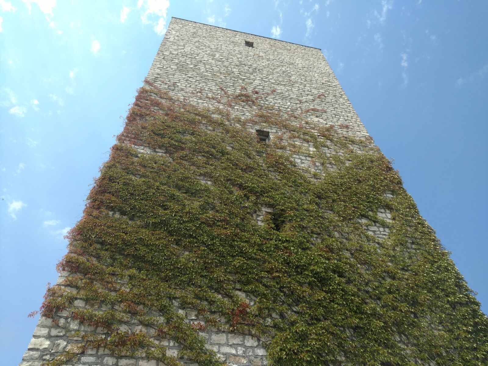 Motorola Moto X Force sample photo. Tower, vine, vegetation photography