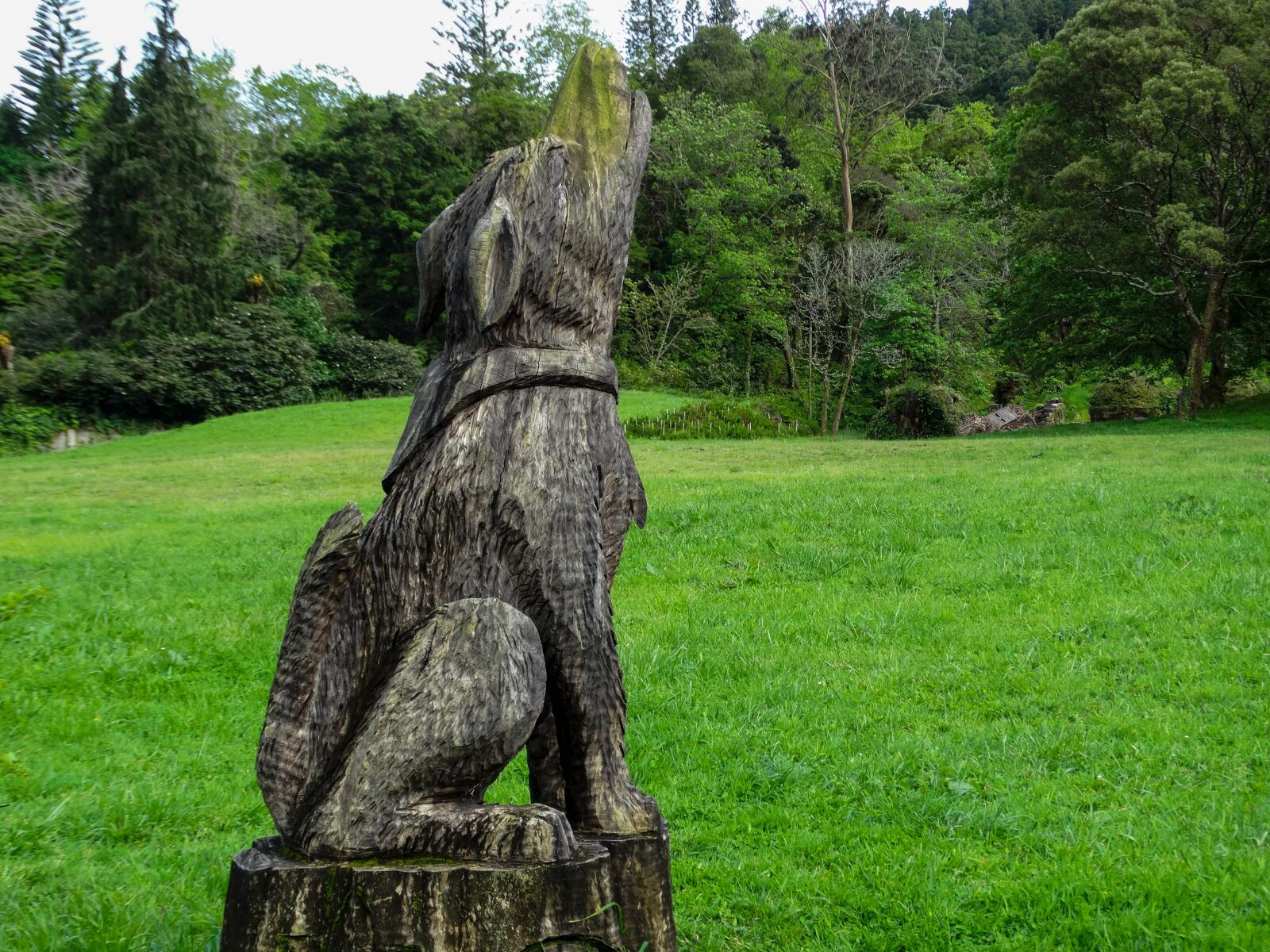 Sony Cyber-shot DSC-HX300 sample photo. Nature, art, sculpture photography