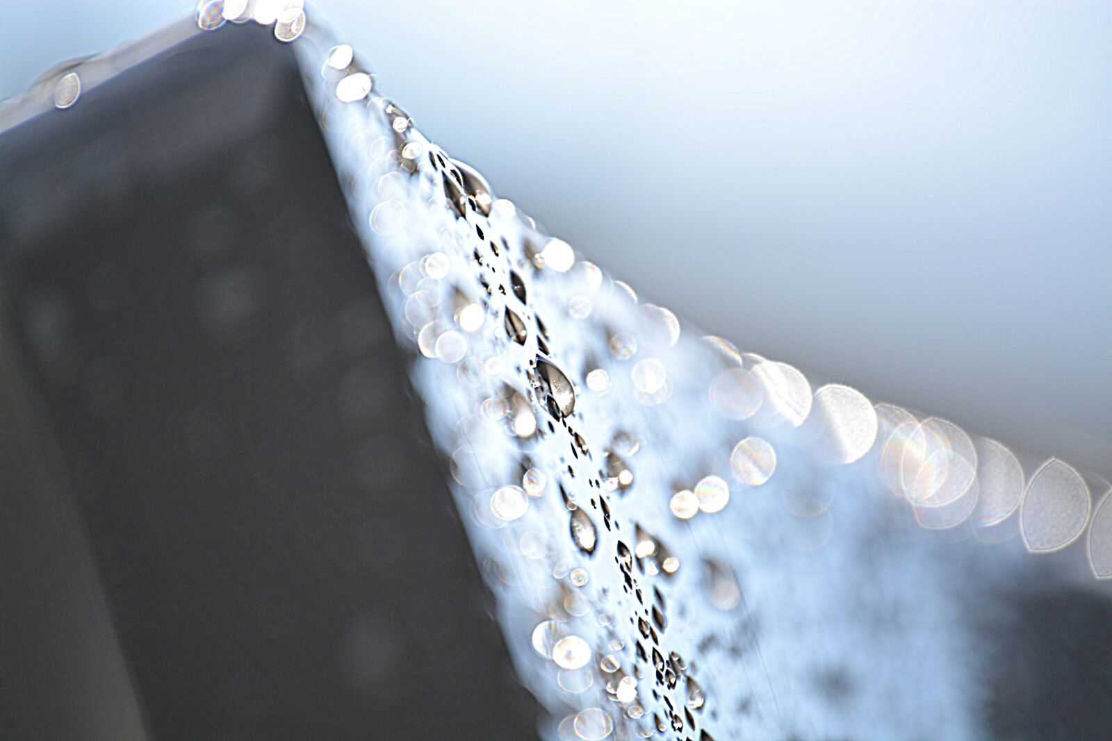 Nikon D5200 sample photo. Raindrop, drip, macro photography