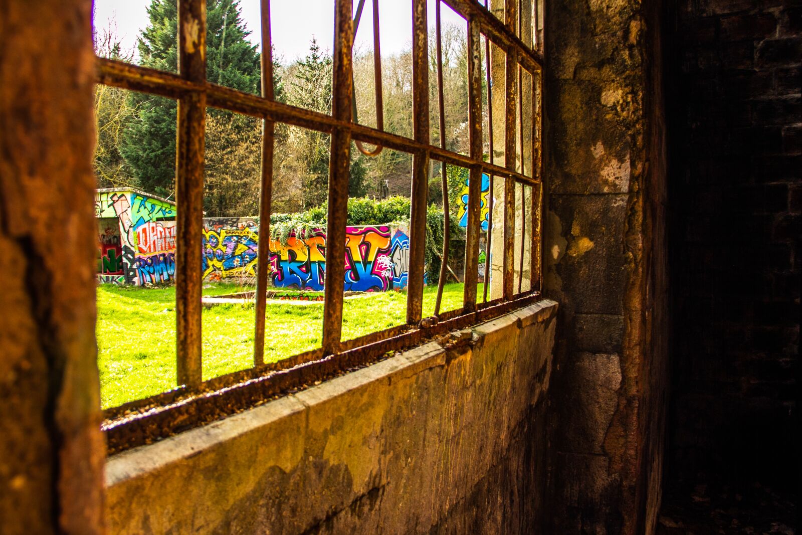 Canon EOS 60D sample photo. Graffiti, nature, light photography