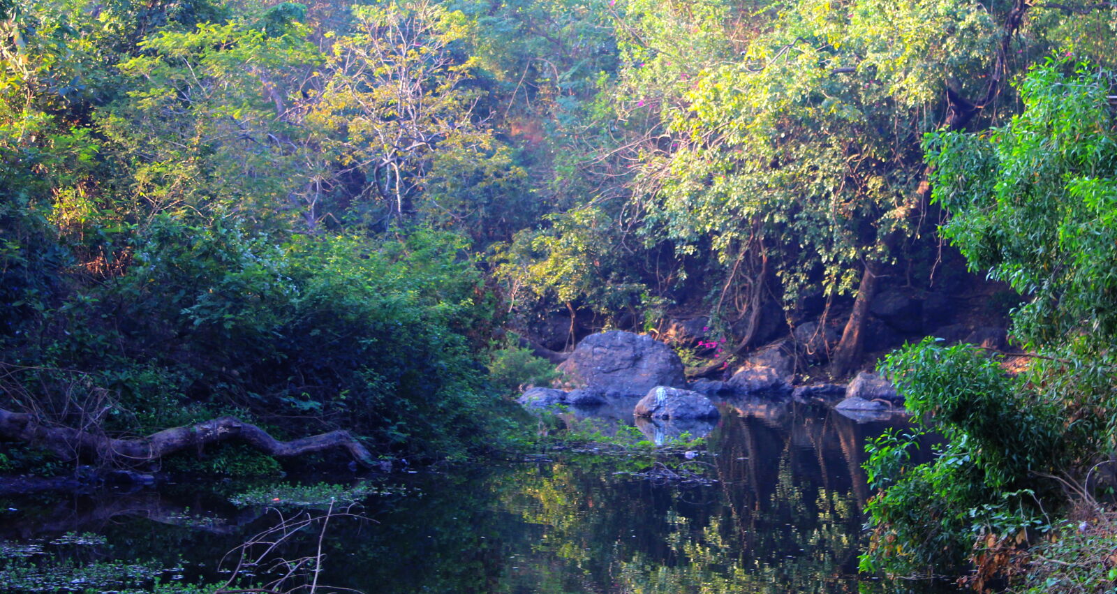Canon EOS 1200D (EOS Rebel T5 / EOS Kiss X70 / EOS Hi) sample photo. Forest, landscape, nature, river photography