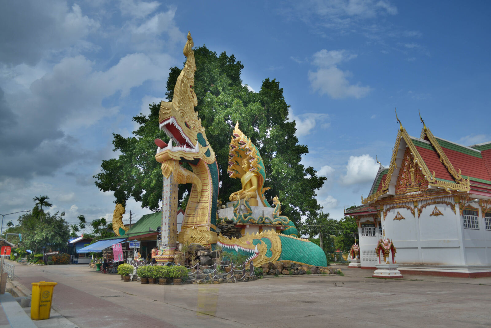 Nikon D5200 sample photo