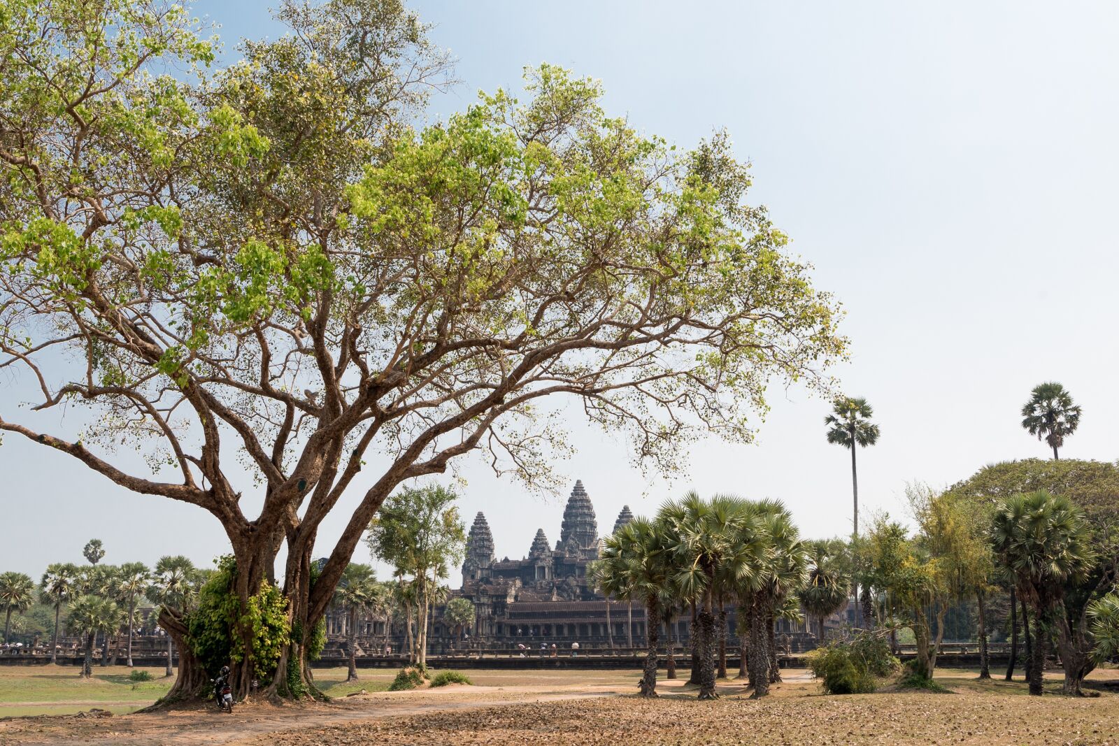 Nikon D750 sample photo. Angkor wat, temple, siem photography