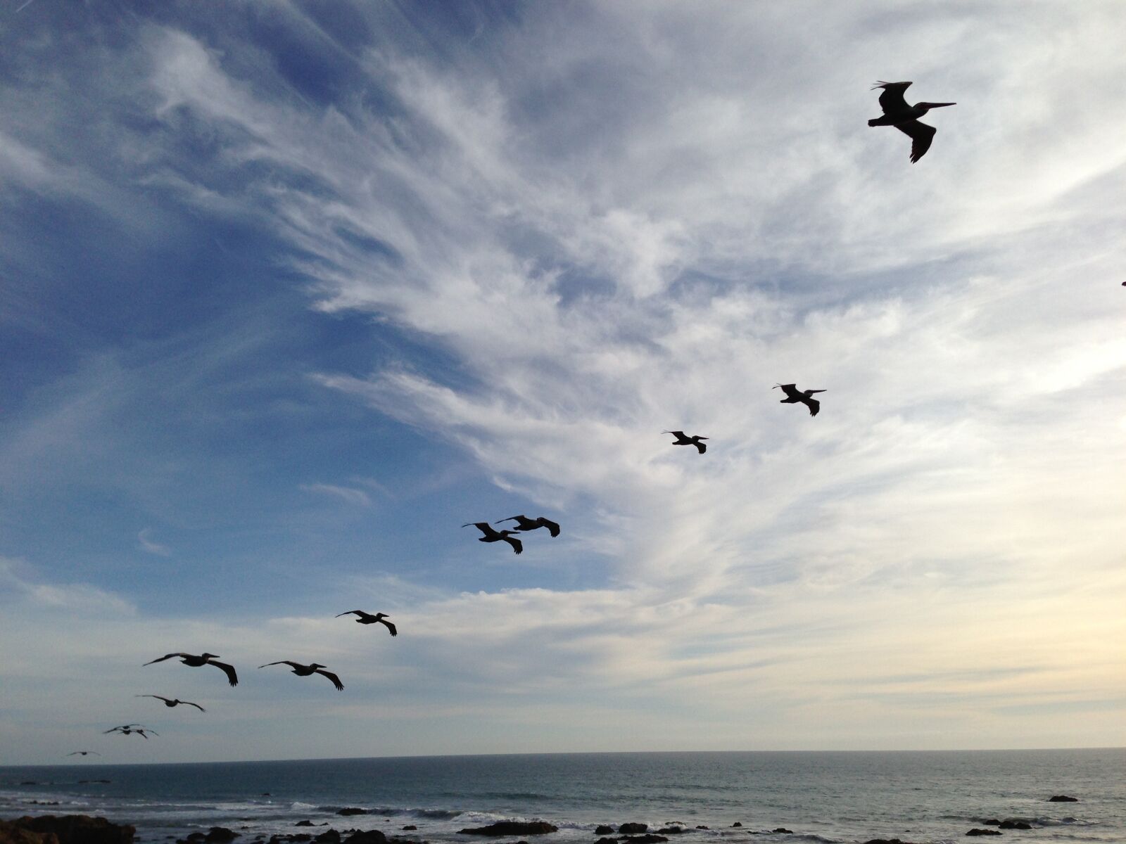 Apple iPhone 5 sample photo. Pelican, flying birds, skies photography