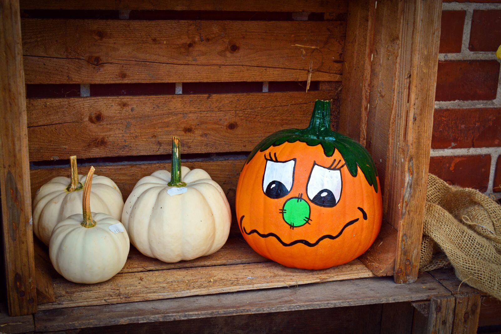 Nikon D5200 sample photo. Pumpkin, funny, painted photography