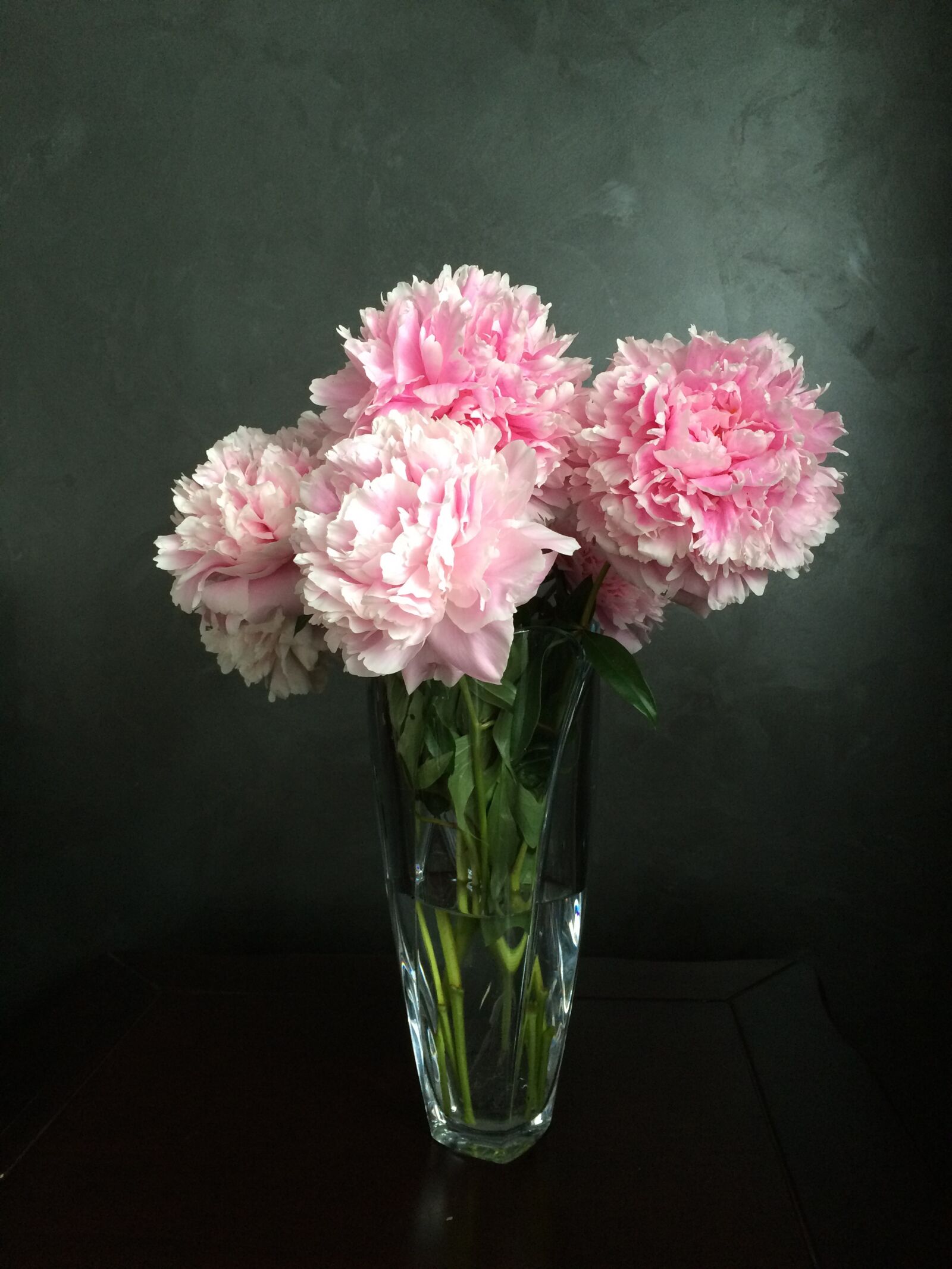 iPhone 5s back camera 4.15mm f/2.2 sample photo. Flowers, peonies, vase photography