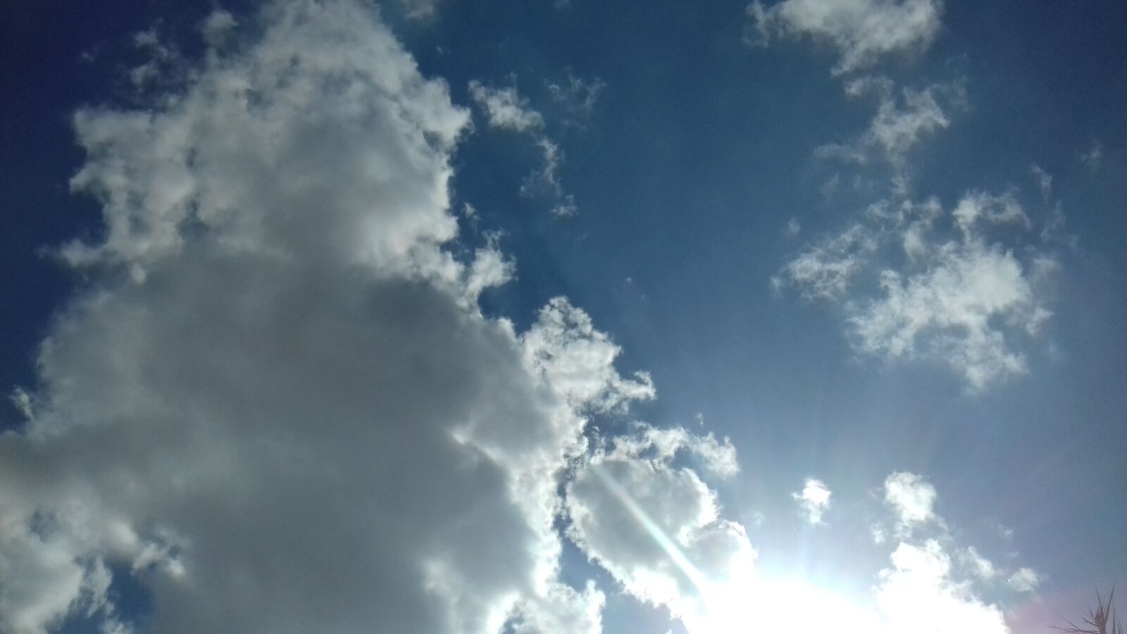Samsung Galaxy Grand Prime sample photo