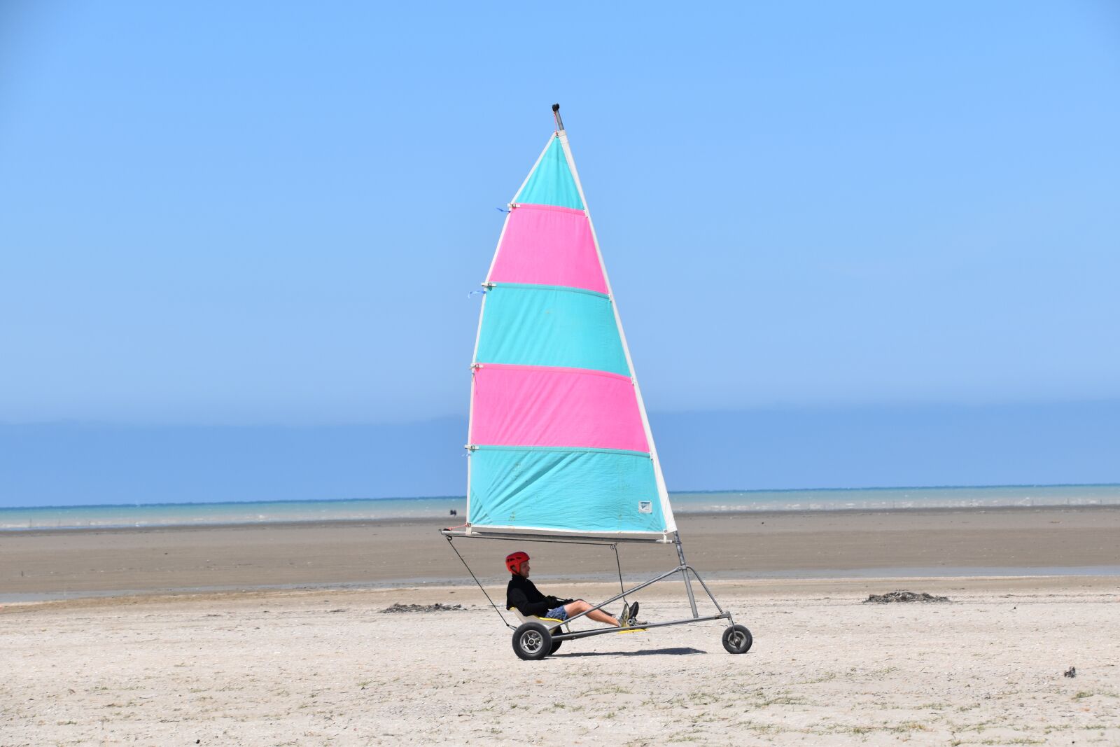 Nikon D5600 sample photo. Char a voile, sport photography