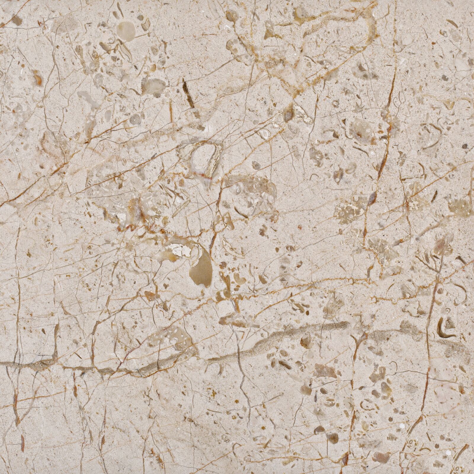 Canon EF 100mm F2.8L Macro IS USM sample photo. Rock, tiles, structure photography