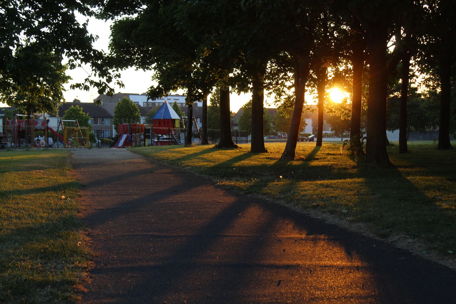 Canon EOS 4000D (EOS Rebel T100 / EOS 3000D) sample photo. Trees, sundown, nature photography