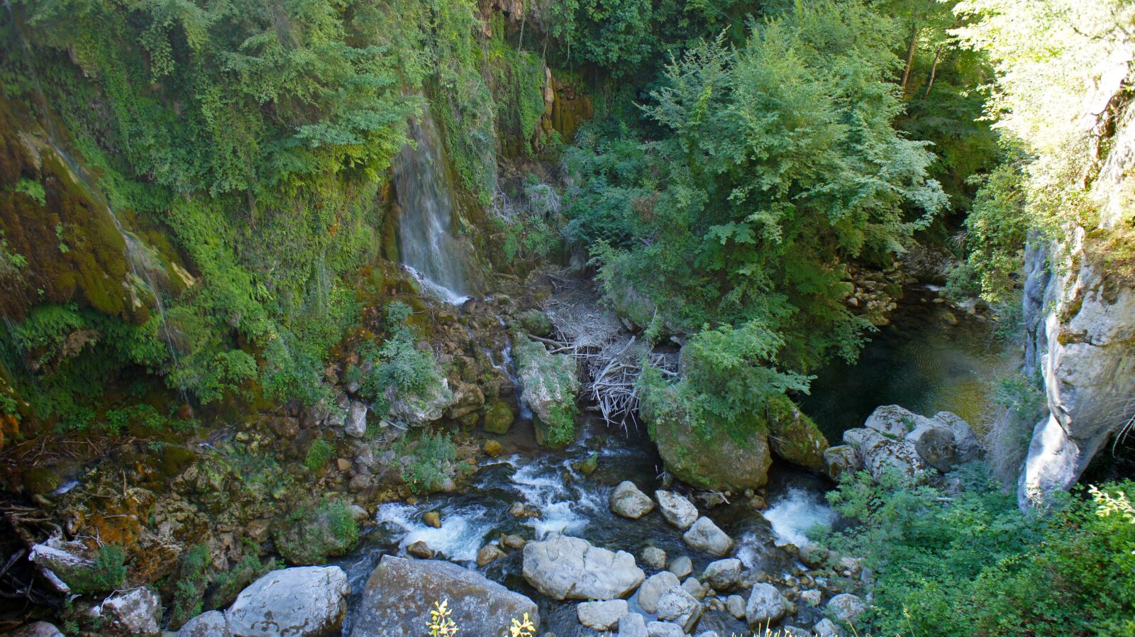 Sony Alpha NEX-5 sample photo. Forest, cascade, river photography