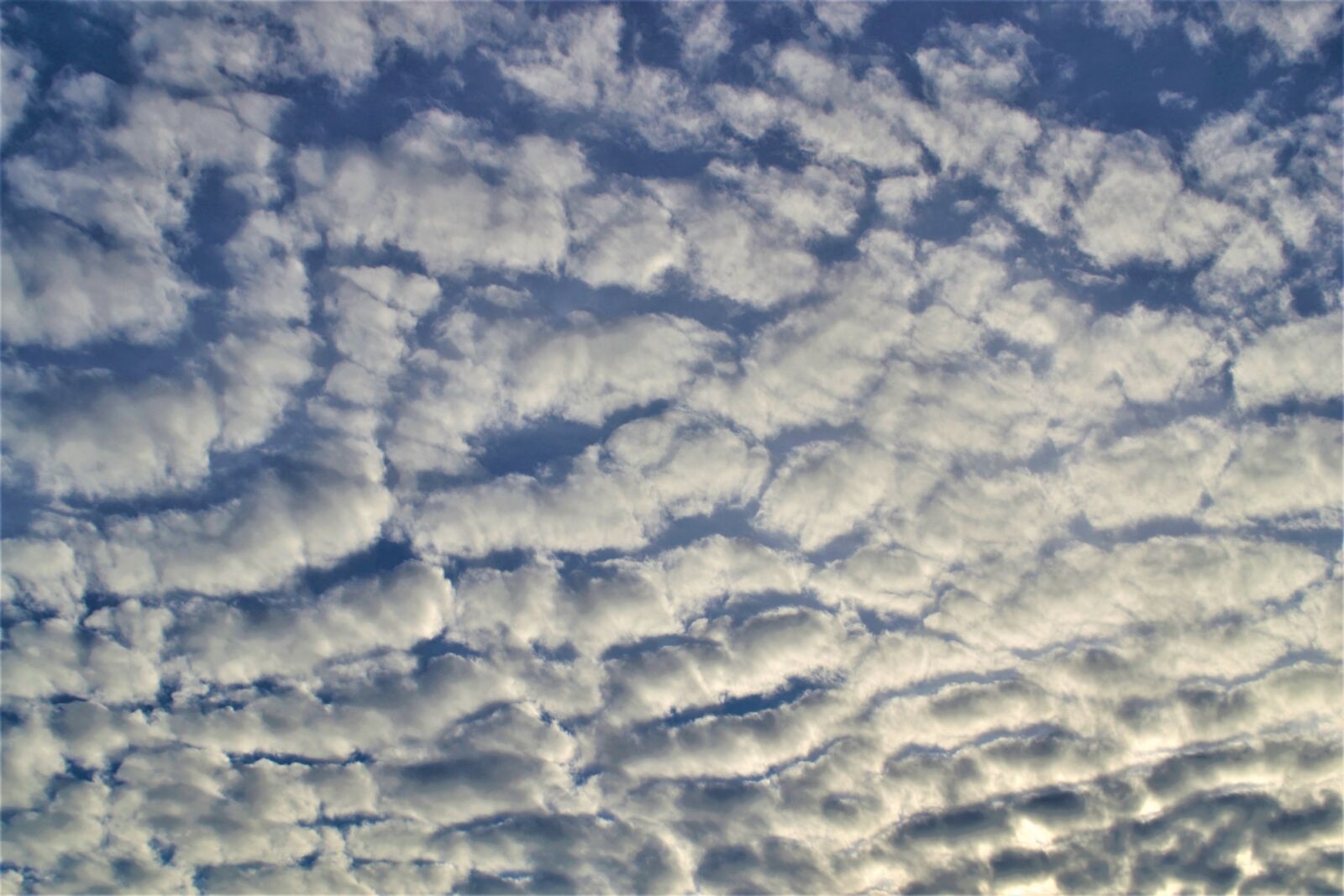 Nikon D3100 sample photo. Clouds, carpeted, blanket photography