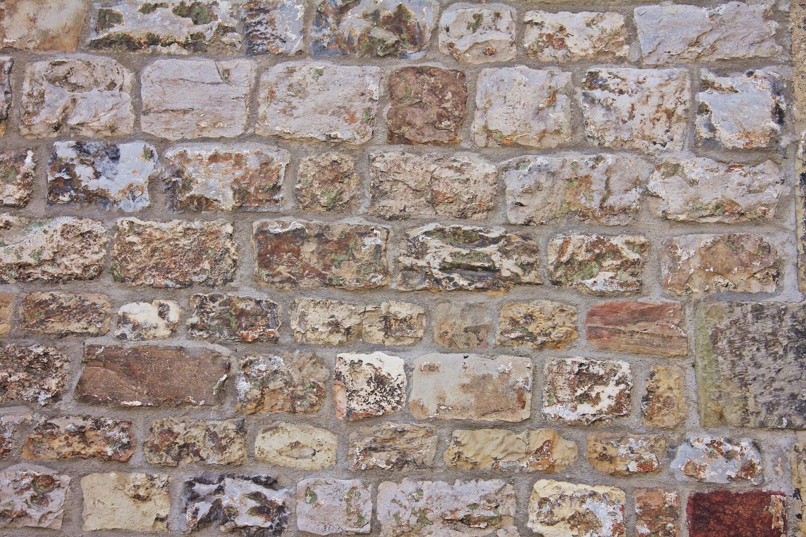 Canon EOS 550D (EOS Rebel T2i / EOS Kiss X4) sample photo. Old, wall, texture, stone photography