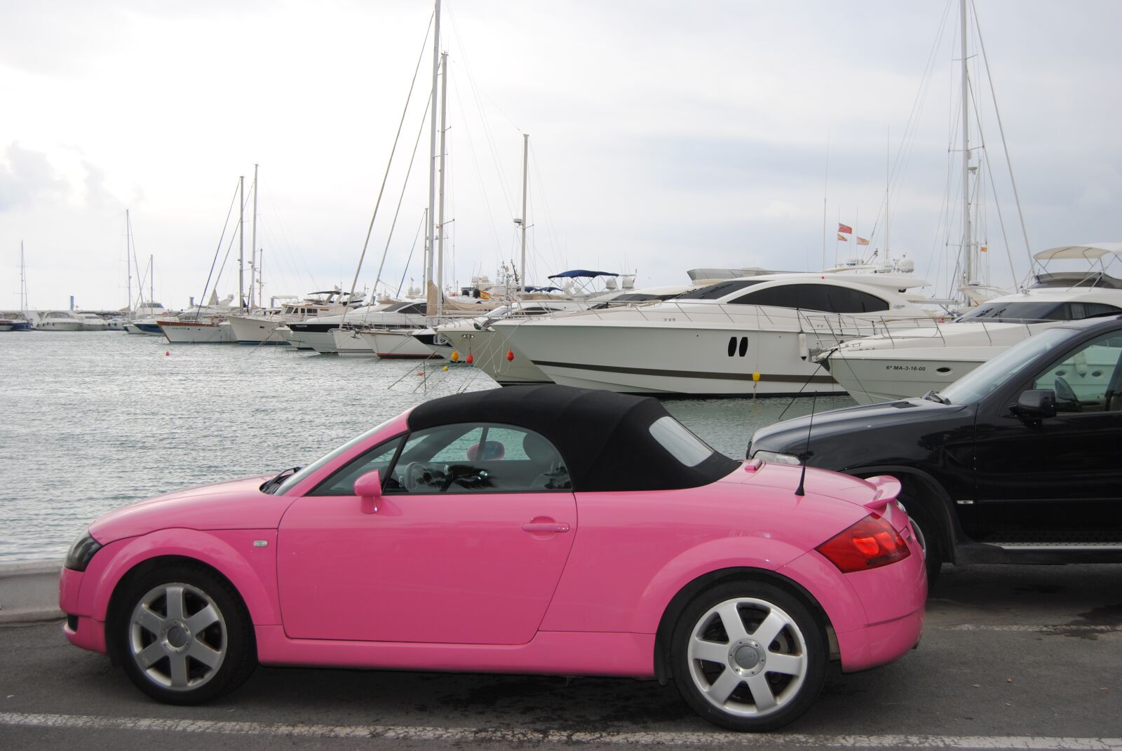 Nikon D3000 sample photo. Audi, car, rosa photography