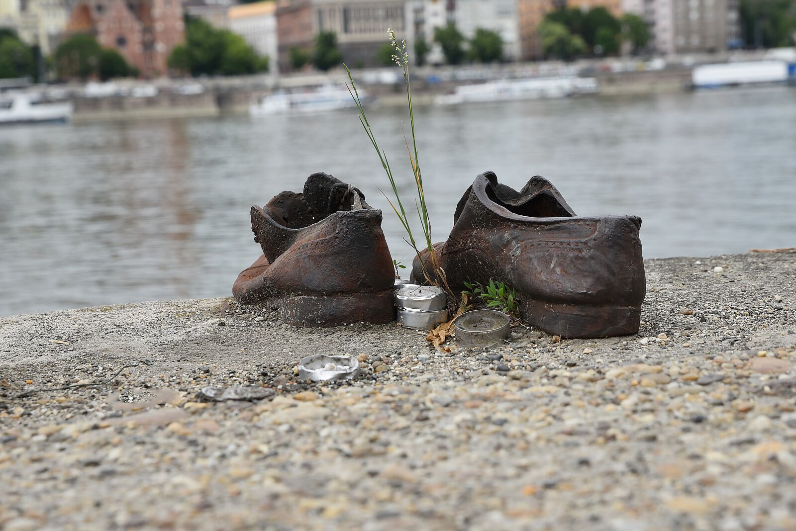 Nikon D750 sample photo. Danube, jew, shoe photography