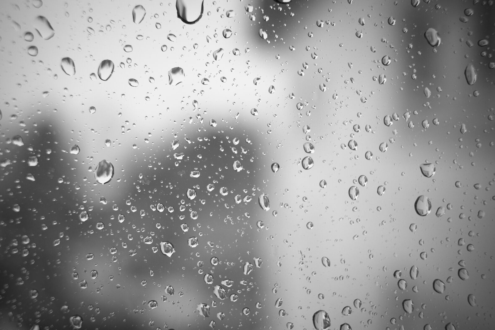 Canon EF-S 24mm F2.8 STM sample photo. Raindrop, disc, rain photography