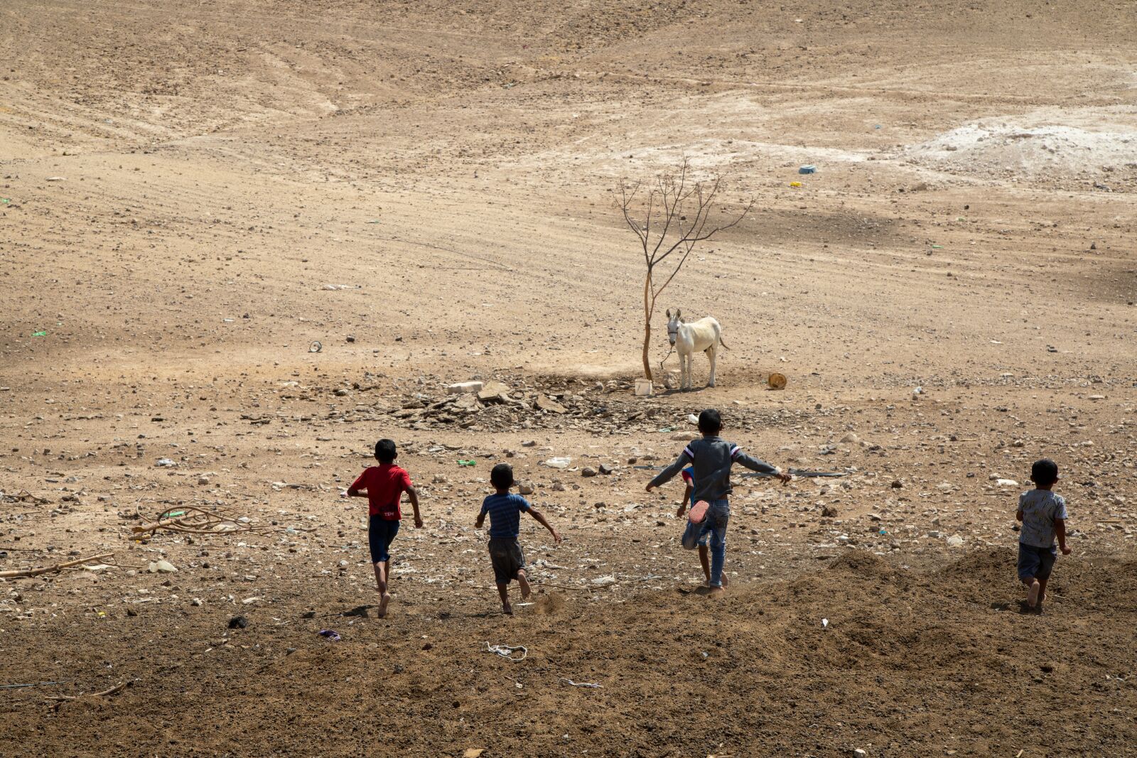 Canon EOS 5D Mark IV sample photo. Nomads, nomadic lifestyle, bedouin photography