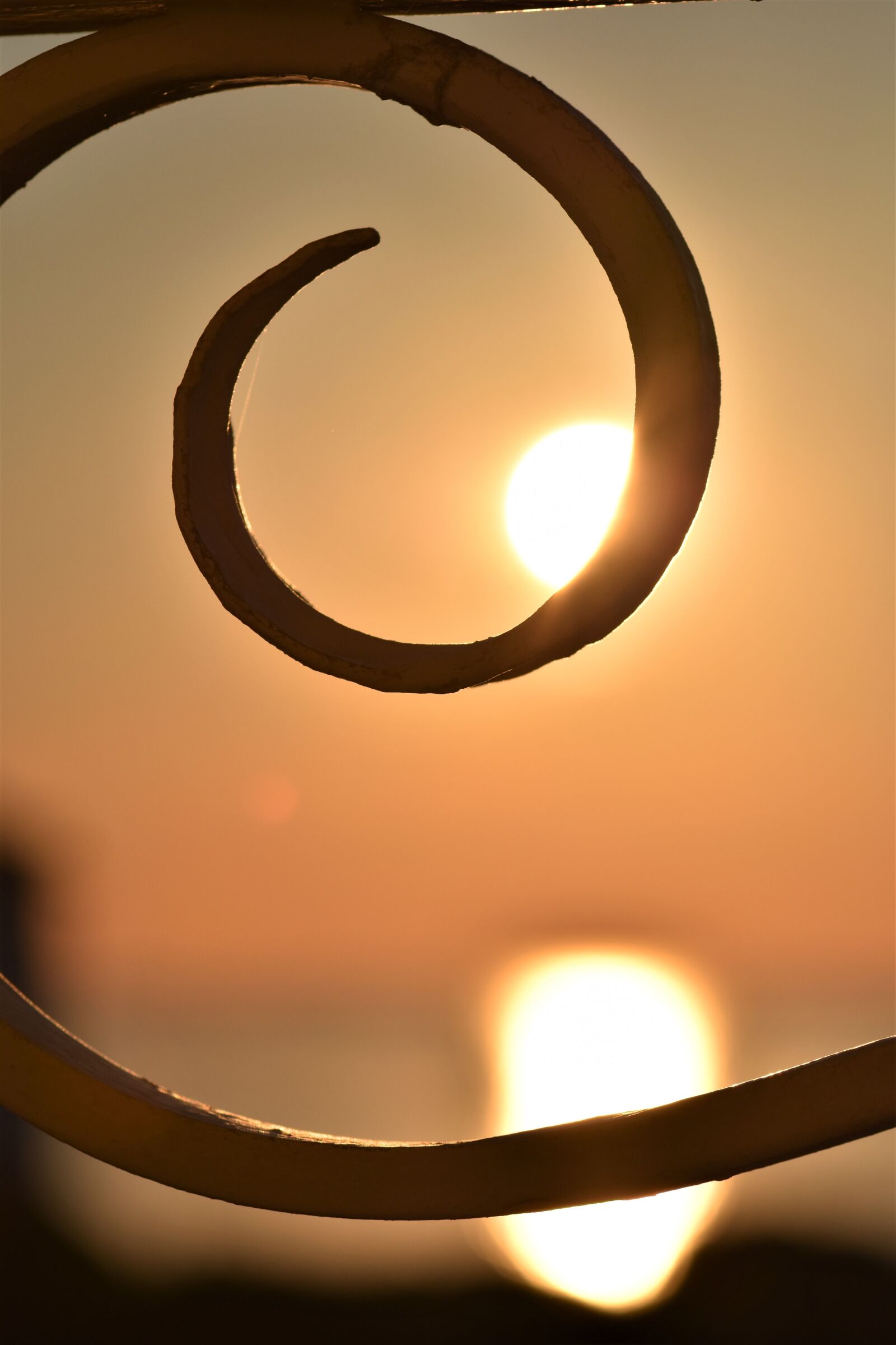 Nikon D5500 sample photo. Sunrise, backlighting, lichtspiel photography