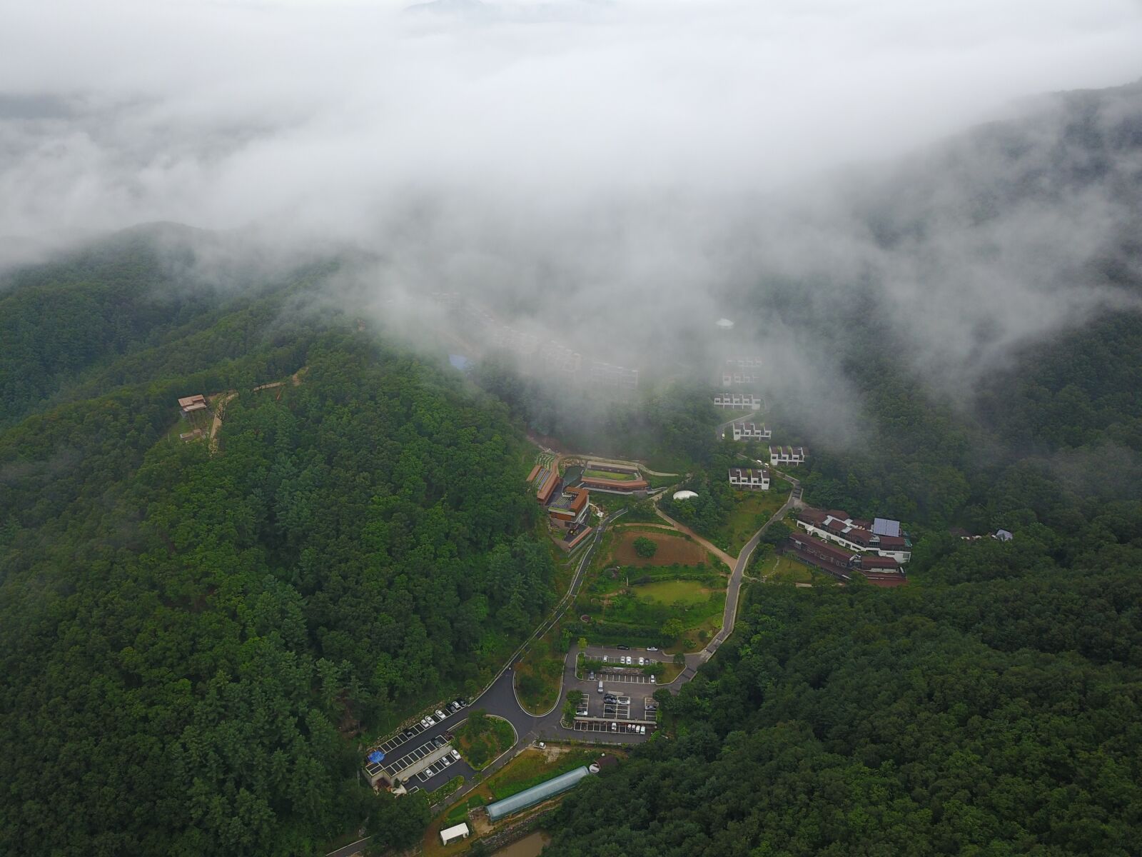 DJI FC220 sample photo. Forest, cloud, mountain photography