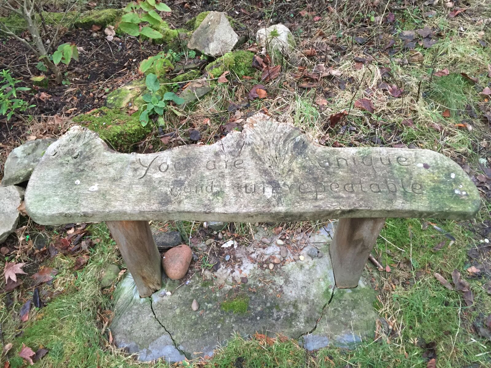 Apple iPhone 6 sample photo. Findhorn photography