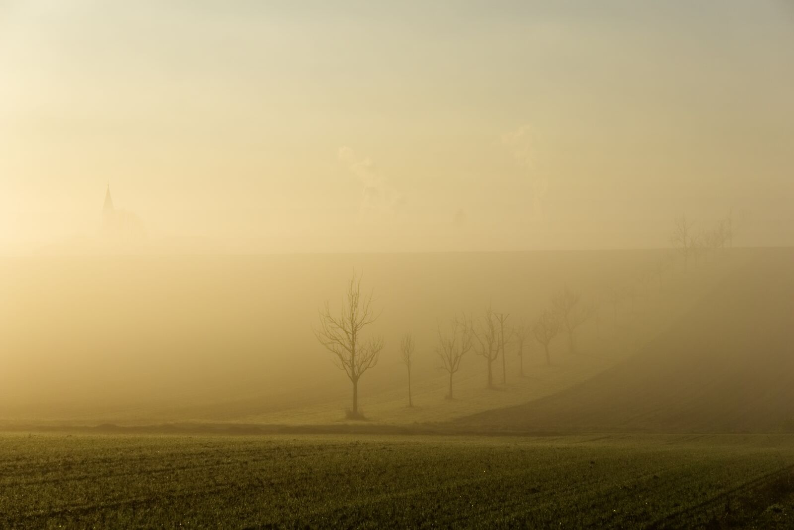 Sony a6000 sample photo. Fog, sun, backlighting photography