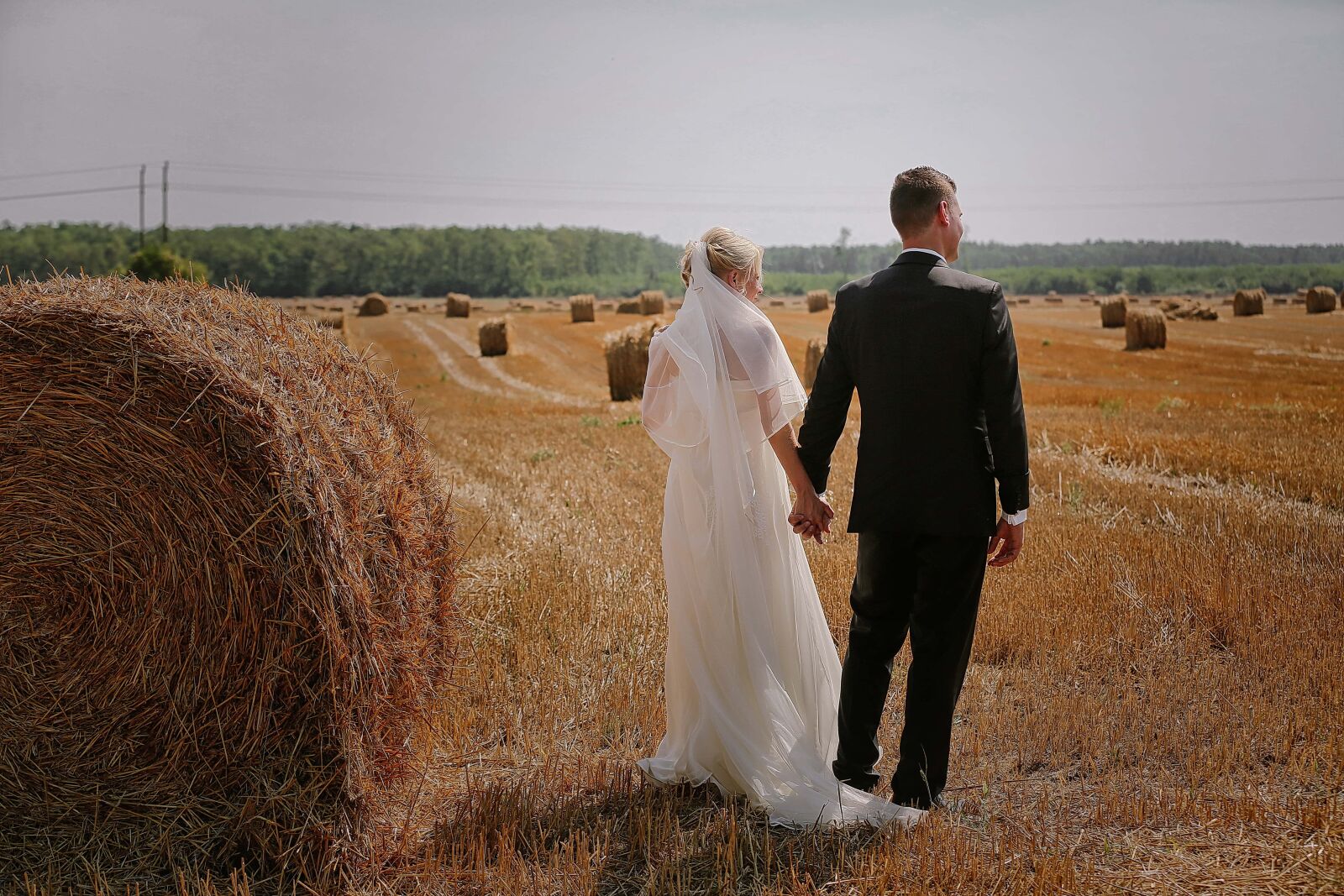 Canon EOS 5D Mark III sample photo. Field, agricultural, hay field photography