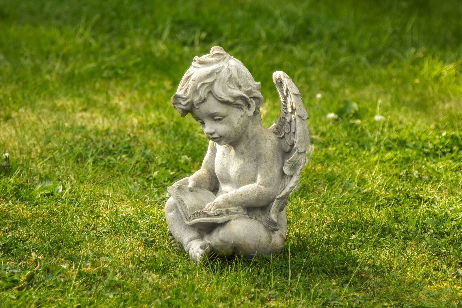 Canon EOS 60D sample photo. The statue of, angel photography