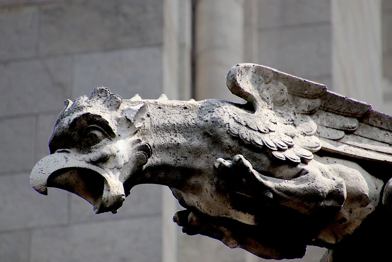 Canon EOS 800D (EOS Rebel T7i / EOS Kiss X9i) sample photo. Gargoyle, pierre, sculpture photography