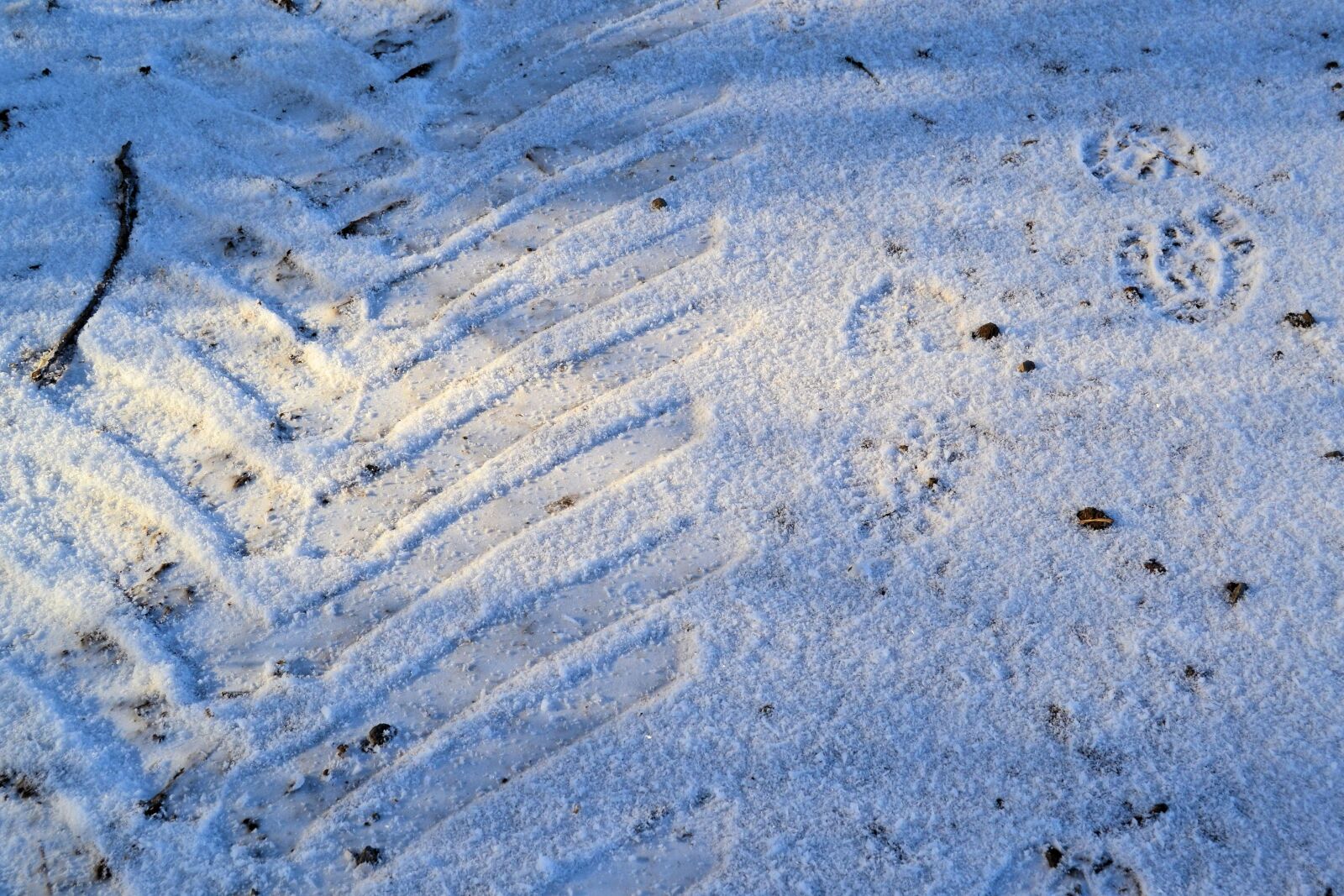 Nikon D3100 sample photo. Winter, snow, trace photography